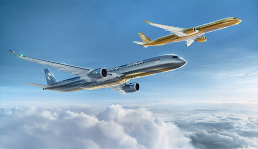 入手困難/STARLUX 飛行機型クッション/毛布 台湾 STARLUX | 飛行機型