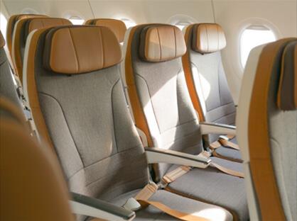seatAesthetics