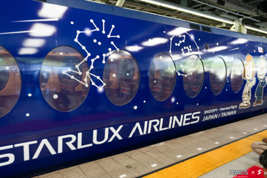南海電鐵最新車廂